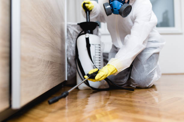 Reliable Ruston, WA Pest Control Solutions