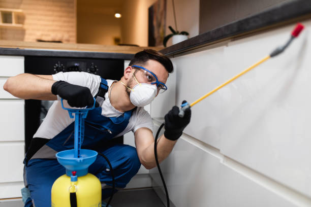 Best Bed Bug Extermination  in Ruston, WA