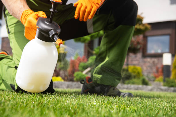 Best Bird Control  in Ruston, WA