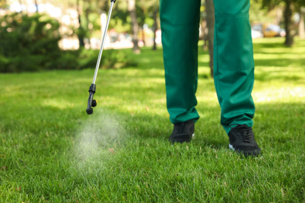 Best Pest Inspection Near Me  in Ruston, WA