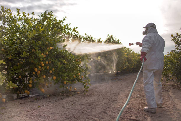 Best Rat Extermination Near Me  in Ruston, WA
