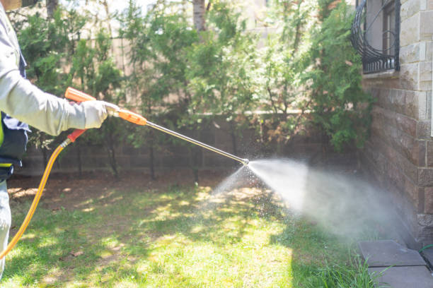 Best Best Pest Control Companies  in Ruston, WA