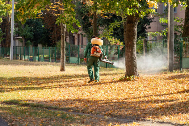 Best Pest Prevention Services  in Ruston, WA
