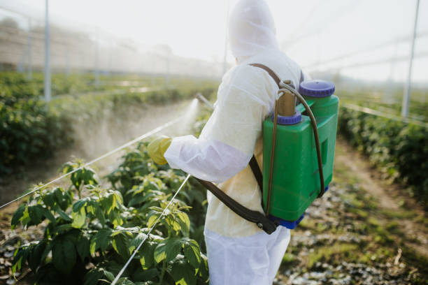 Best Residential Pest Control  in Ruston, WA